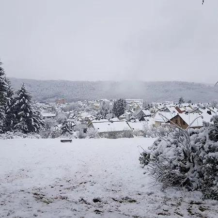 Apartment Prümtalblick *