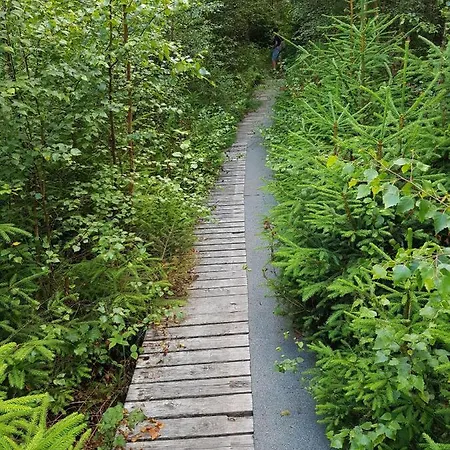 Ferienwohnung-pruemtalblick